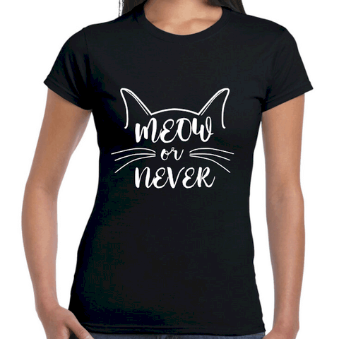 Meow or Never 4