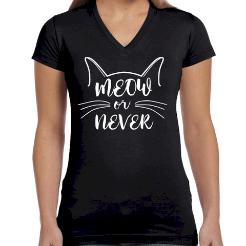 Meow or Never 2