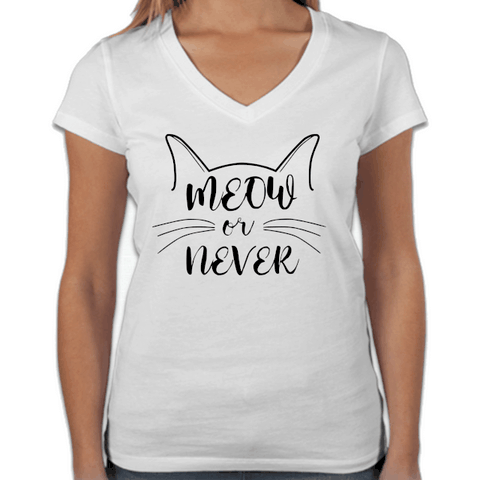 Meow or Never 1